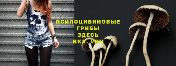 первитин Армянск