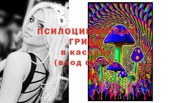 таблы Арсеньев