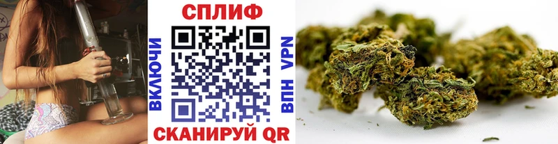 Бошки марихуана семена  блэк спрут вход  Урай 